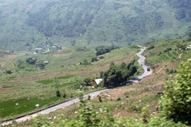 Gập ghềnh hai chữ Lý - Tình 