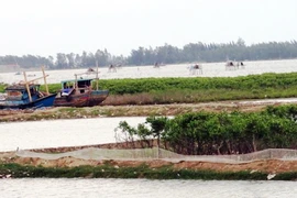 Ngao ngán tình người vì... ngao