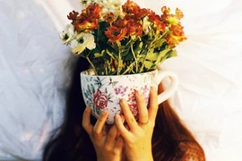 “Những giấc mơ mà tôi đi tìm”