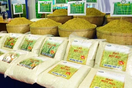 Chưa phát hiện gạo Trung Quốc có chất gây ung thư tại Việt Nam