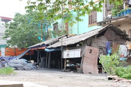 Những tiếng kêu vô vọng