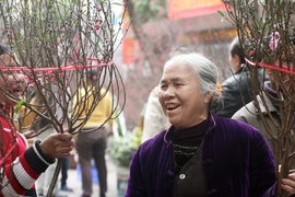 Thời tiết dịp Tết Nguyên đán khá thuận lợi 