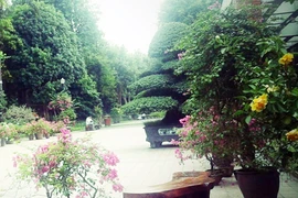 Chớ lóa mắt với biệt thự sinh thái giá rẻ