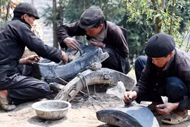 Bàn tay bắt đá nảy mầm 