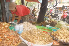 TP. HCM: Nhiều, nhưng không “ngập” chợ