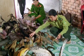 Phát hiện nhiều tiêu bản động vật hoang dã quý hiếm