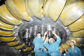 Vụ tranh chấp bản quyền ảnh: Dừng lại để cảm thông hơn