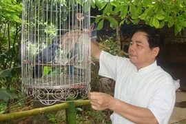 “Làm trai không sai bản xứ”