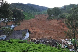 11 người chết do lở đất tại Indonesia