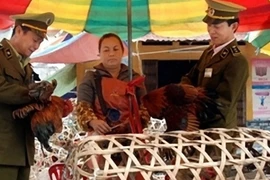 Nguồn lây virus cúm A/H7N9 vẫn bí ẩn