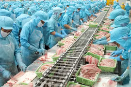 Doanh nghiệp ngại minh bạch thông tin