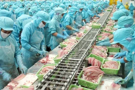 Doanh nghiệp ngại minh bạch thông tin