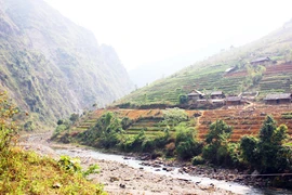 Ngỡ ngàng “đường lên trời”