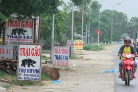 Mật ế, làng gấu hết thời