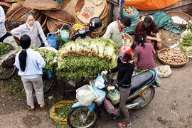Rau xanh hạ nhiệt 