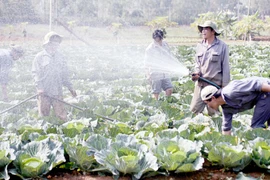 Nơi “cơn bão” ma túy đi qua