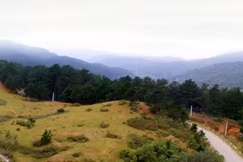 Đèo Phia Oắc - nơi thần tiên hoang dã 