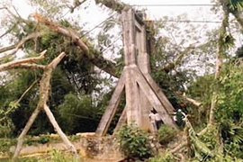 Lốc xoáy và mưa đá gây thiệt hại 25 tỷ đồng