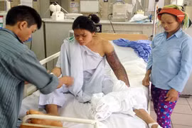 Gia tăng bệnh nhân bị rắn độc cắn