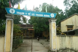 Đàn ong tấn công khiến 14 người phải đi cấp cứu