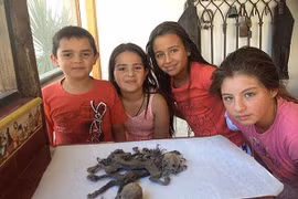 Phát hiện xác “quỷ hút máu dê” ở Chile