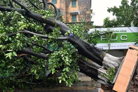 Hỗ trợ các gia đình có người tử nạn và bị thương do mưa bão ở Phú Xuyên