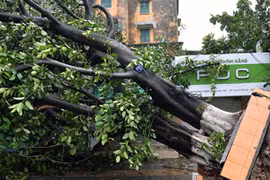 Hỗ trợ các gia đình có người tử nạn và bị thương do mưa bão ở Phú Xuyên