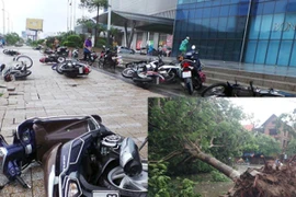 Hà Nội: 1 người chết, 5 người bị thương do mưa bão