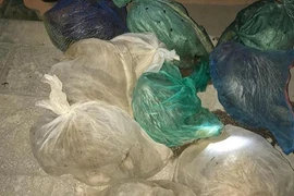 Phát hiện vụ nhập gỗ lậu kèm theo 9 cá thể động vật không rõ nguồn gốc