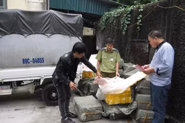 Nội tạng của lợn thải loại Trung Quốc tuồn về Hà Nội tiêu thụ