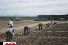 Nhật Bản tăng cường đầu tư vào châu Phi