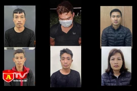 Triệt phá ổ nhóm đối tượng gây ra 8 vụ trộm cắp dây viễn thông 