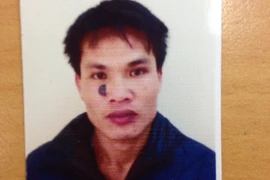 Bóc gỡ đường dây chuyên dùng ôtô đi trộm cắp gỗ sưa