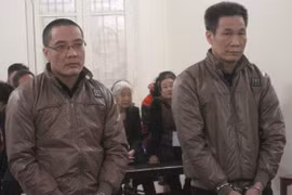 Biến đất nông nghiệp thành nhà ở, giám đốc và phó giám đốc ngồi tù