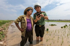 Mệnh lệnh 01 và dấu ấn 8 tuần quyết tâm về đích