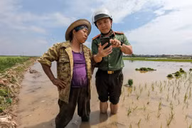 Mệnh lệnh 01 và dấu ấn 8 tuần quyết tâm về đích