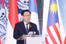 Đóng góp quan trọng của Việt Nam vào thành công của AIPA-44 