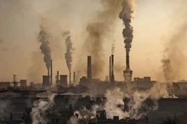 Hành động chống biến đổi khí hậu trước khi quá muộn 