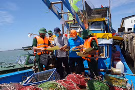 Triển khai quyết liệt, gấp rút các giải pháp gỡ “thẻ vàng” của Ủy ban châu Âu 