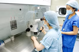 Hà Nội thành lập 2 đoàn kiểm tra về phát triển khoa học, công nghệ và đổi mới sáng tạo 