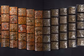 Kể chuyện bằng mầu sắc hồi sinh sông Tô Lịch trữ tình 