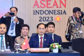 ASEAN ghi dấu ấn và đóng góp của Việt Nam 