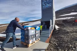 Hầm hạt giống được dự phòng để cứu rỗi cả thế giới 