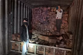 Lộ gần 11.000 kg đá phấn quý hiếm nhập lậu về Việt Nam