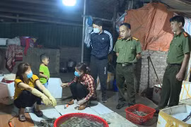 Đột kích xưởng tôm bơm tạp chất vì... khách hàng yêu cầu