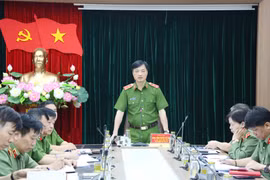 Nỗ lực quyết tâm hoàn thành hai dự án theo đúng tiến độ đề ra 