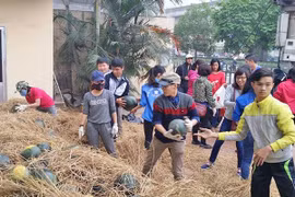 Quy hoạch vỡ, tiêu thụ nông sản bằng... tình thương