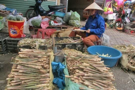 Ngọt - ngon măng sặt Yên Bái
