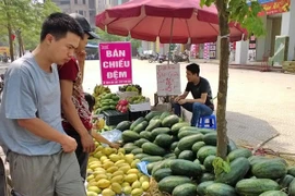 Ngỡ ngàng vì hoa quả được mùa, giá vẫn cao