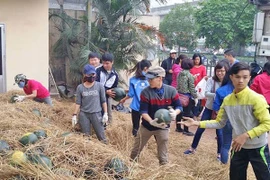 Quy hoạch vỡ, tiêu thụ nông sản bằng... tình thương